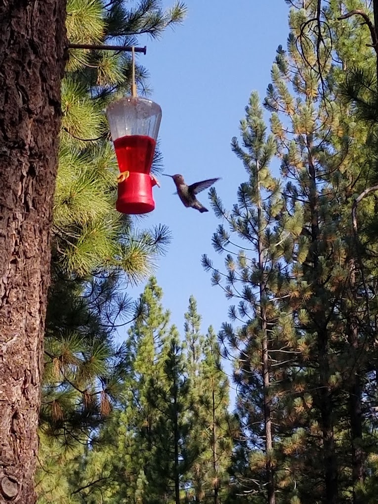 Feather River RV and Mobile Home Park