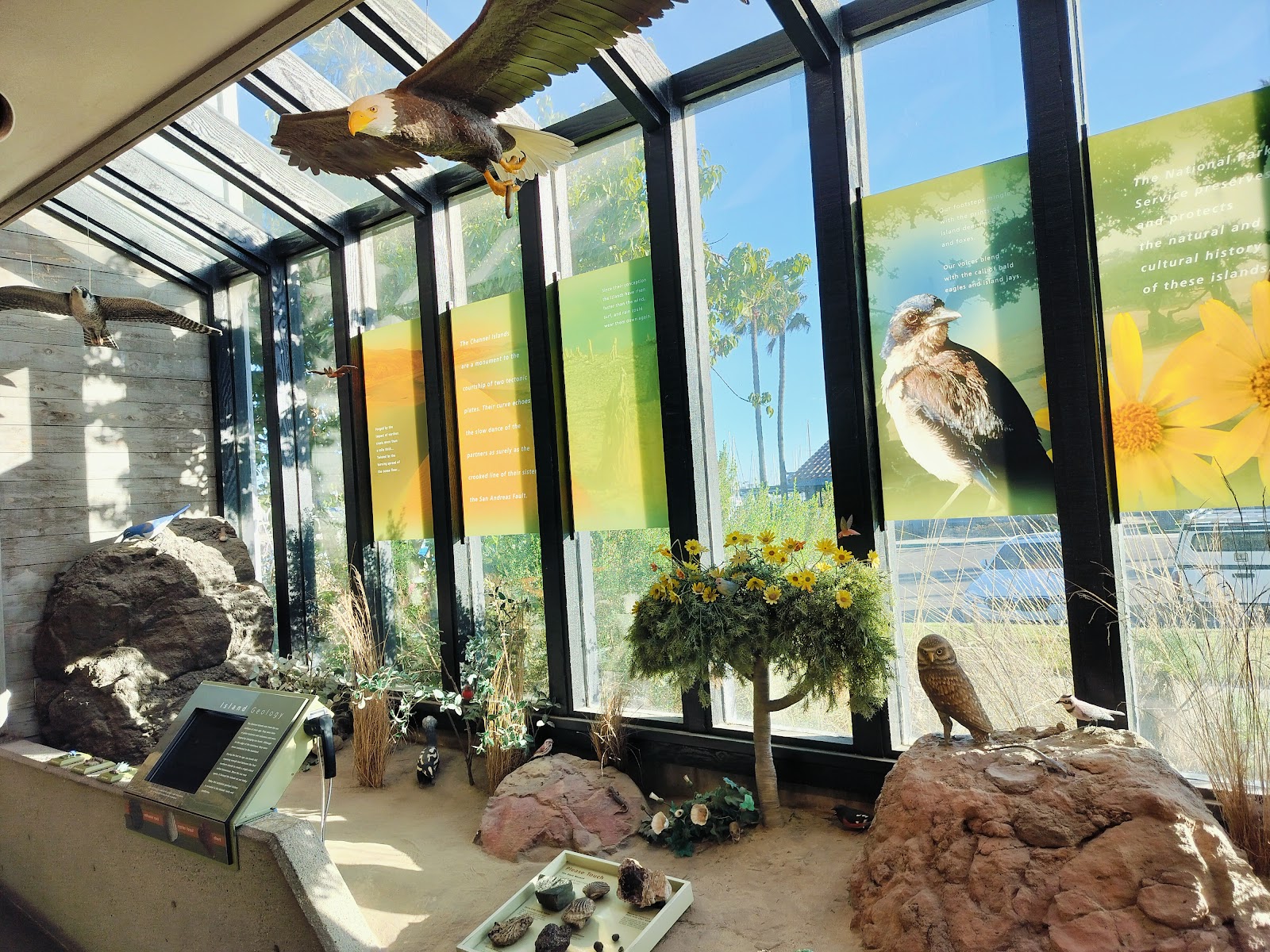 Santa Barbara Island