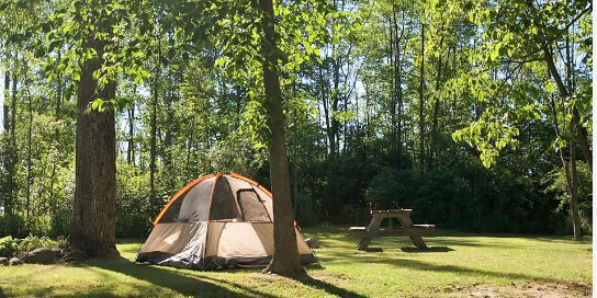 Darien Lakes State Park