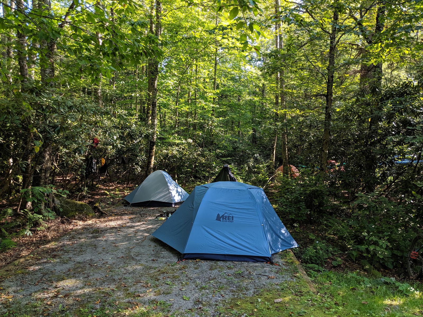 Tea Creek NF Campground