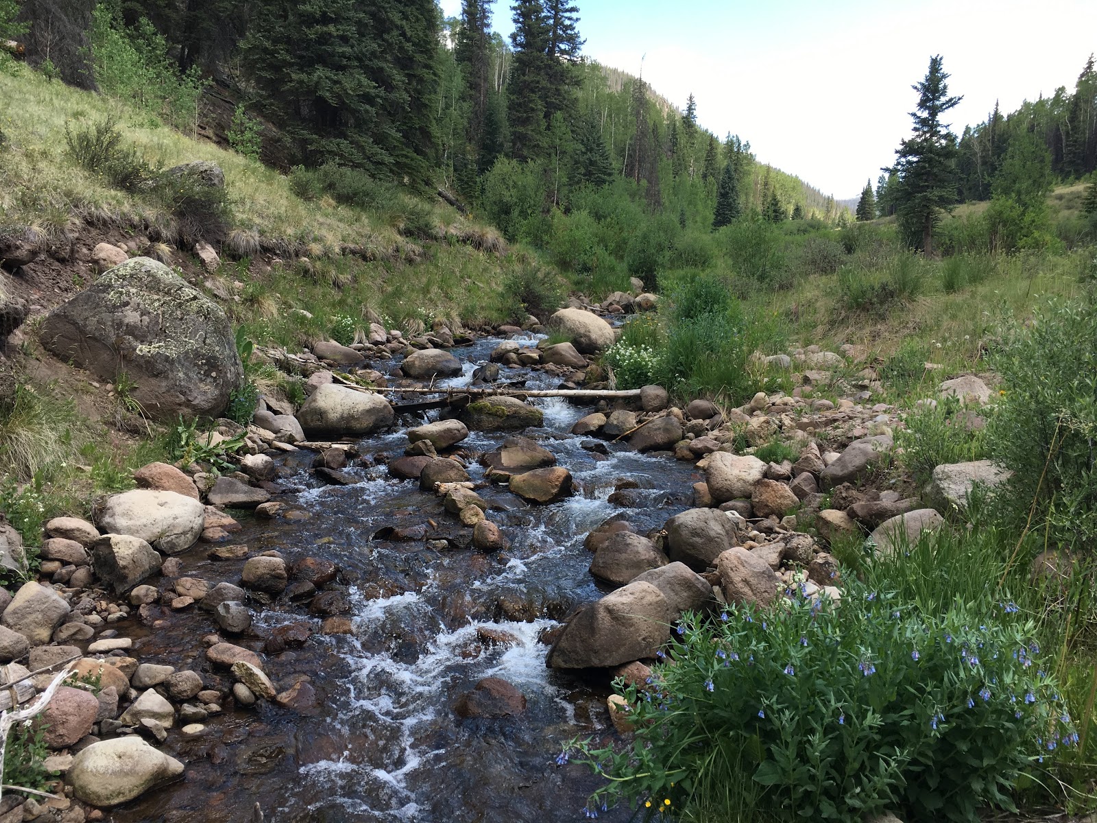 Ivy Creek Campground