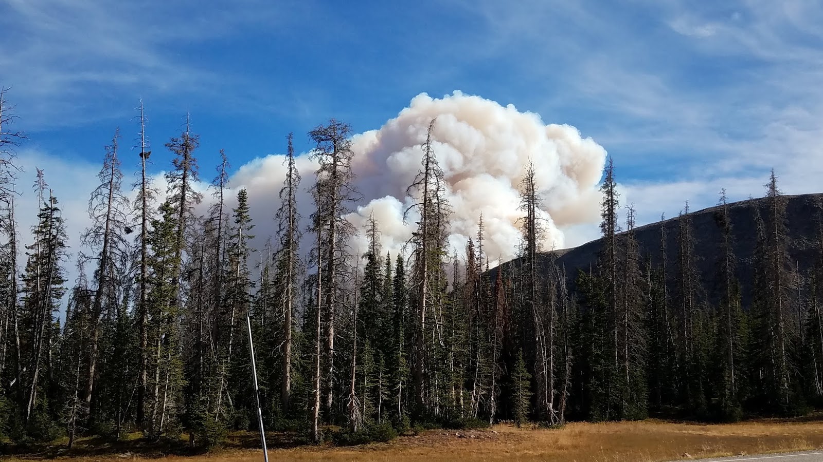 Lilly Lake Campground