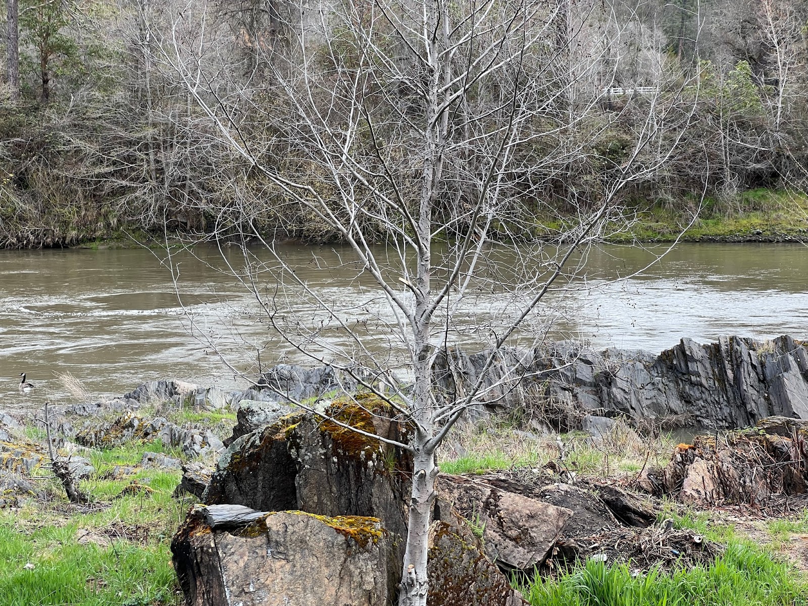 Have-A-Nice-Day Campground