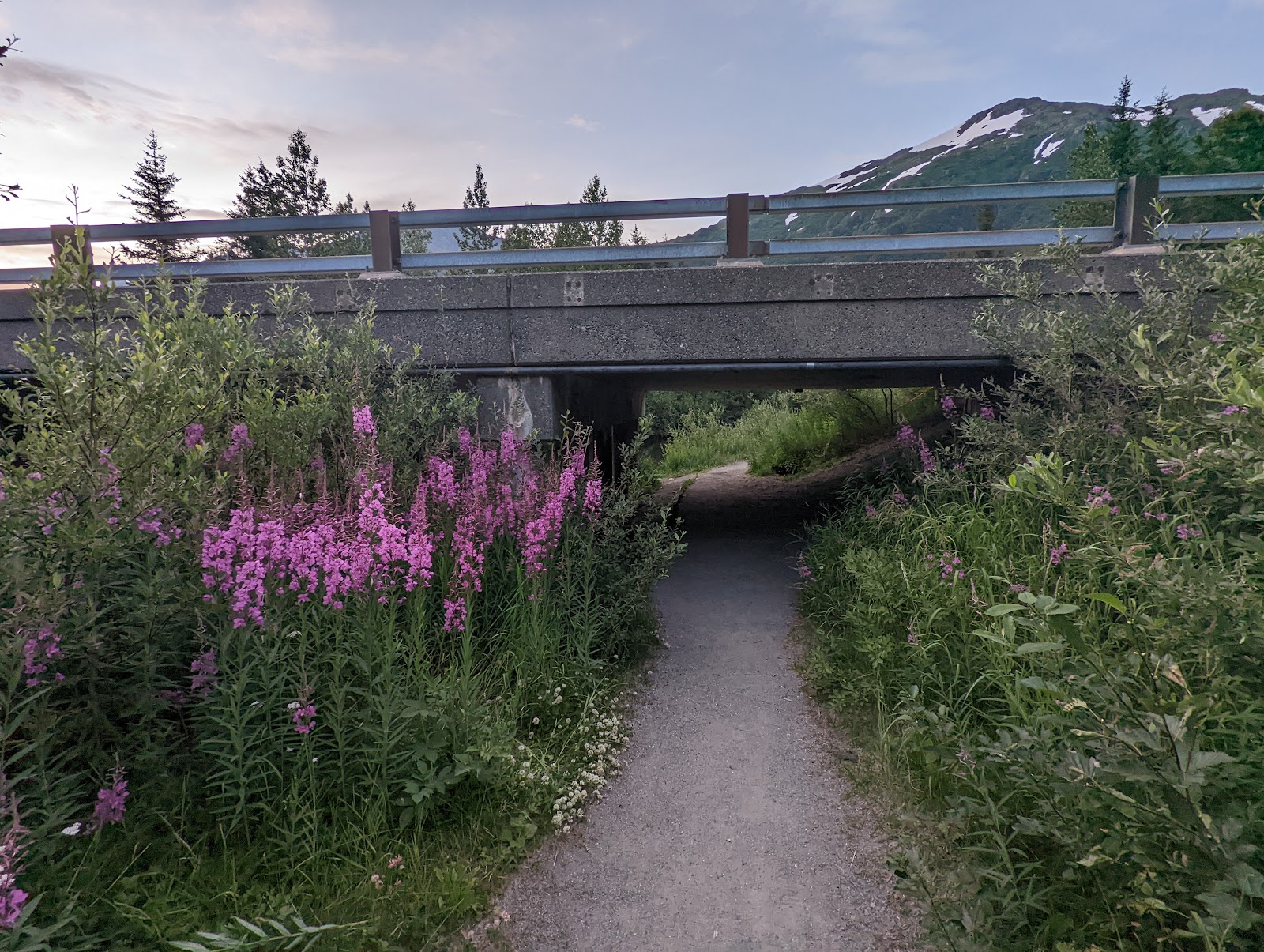 Williwaw NF Campground