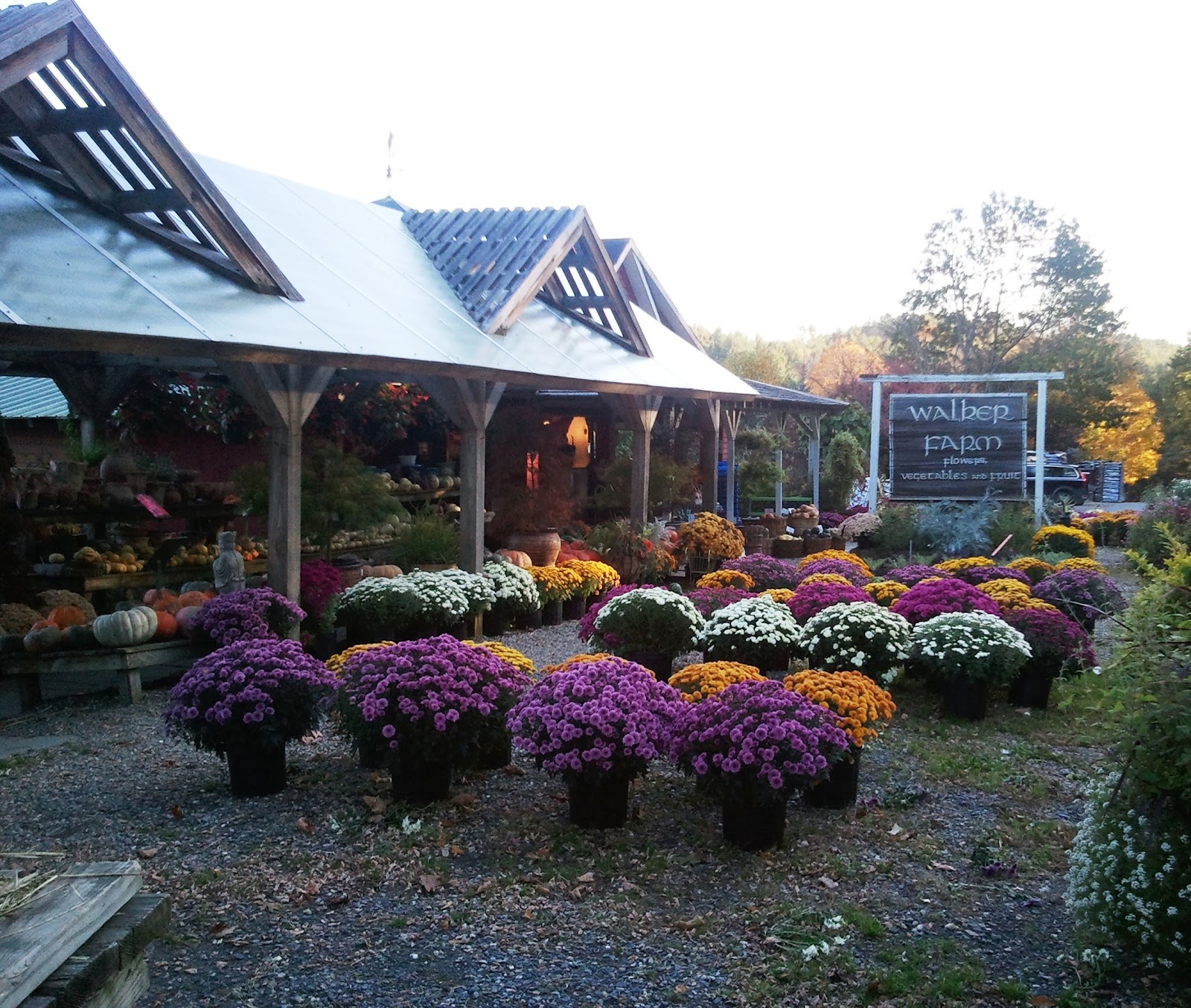 Brattleboro North KOA Journey