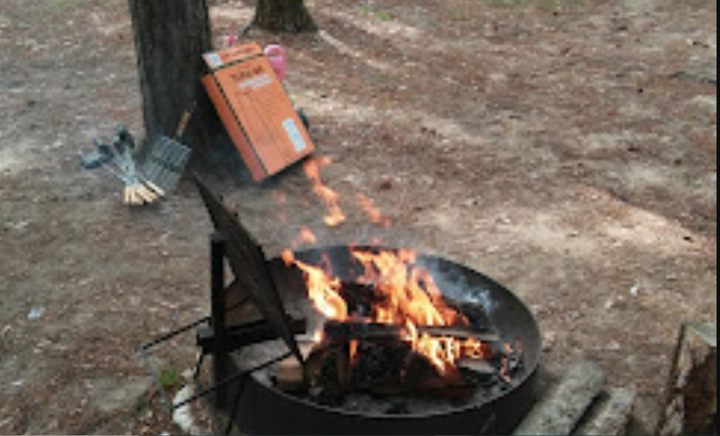 Yogi Bears Jellystone Park Warrens