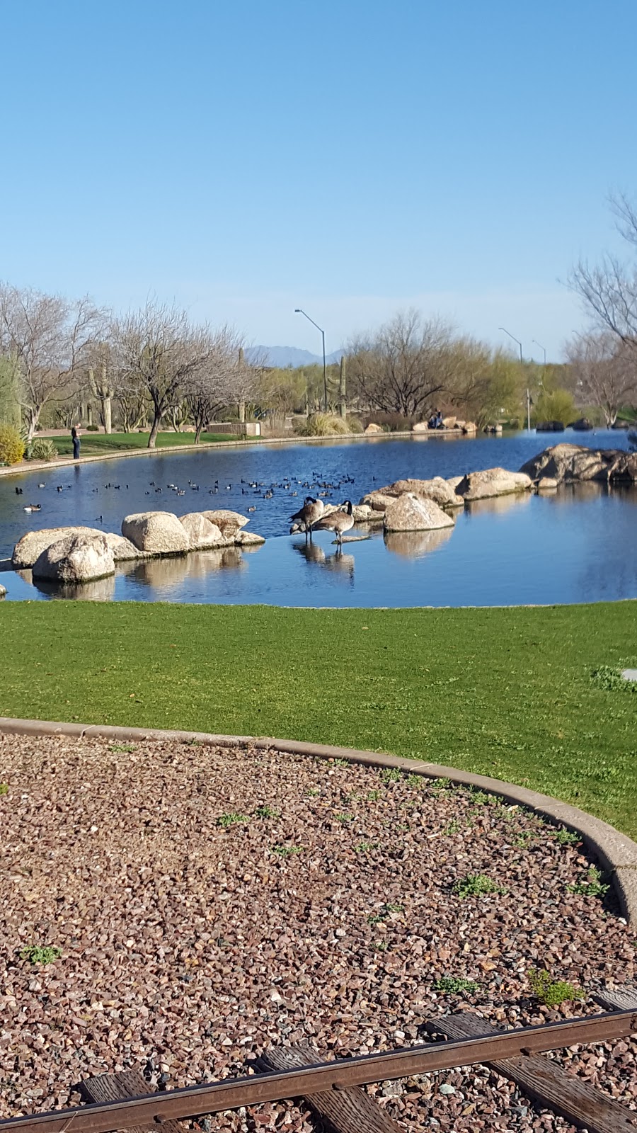 Anthem Community Park