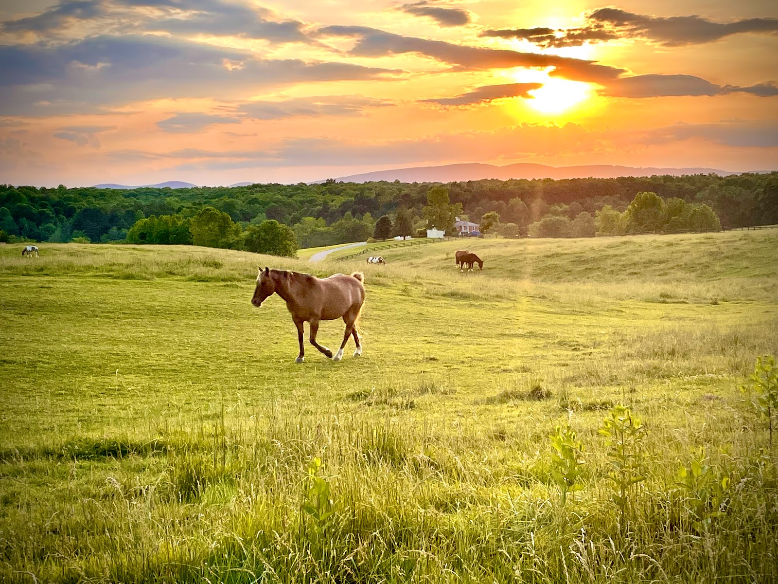 SHENANDOAH CROSSING RESORT & CC