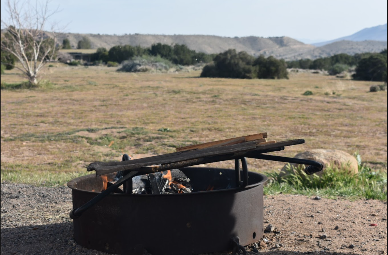 Mojave River Forks Regional Park
