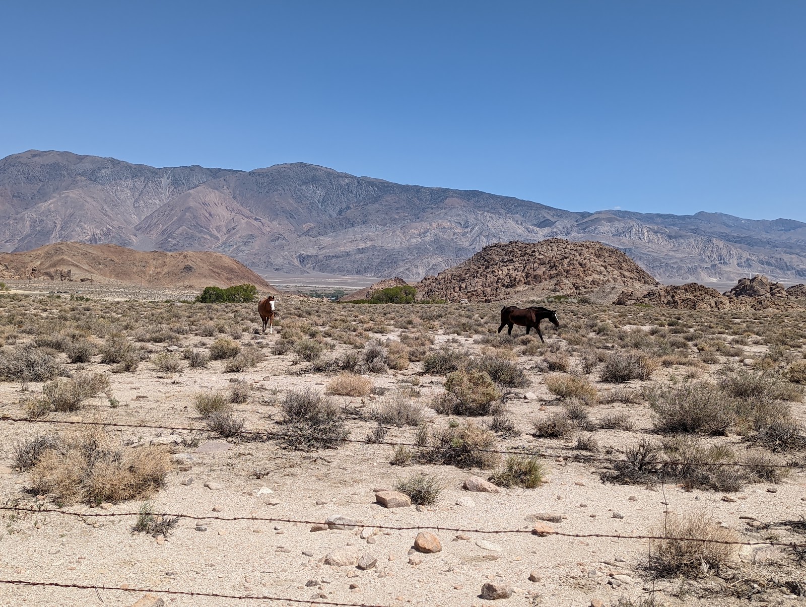 Crowley Lake Campground
