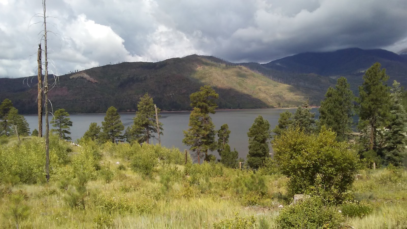 5 Branches Camper Park