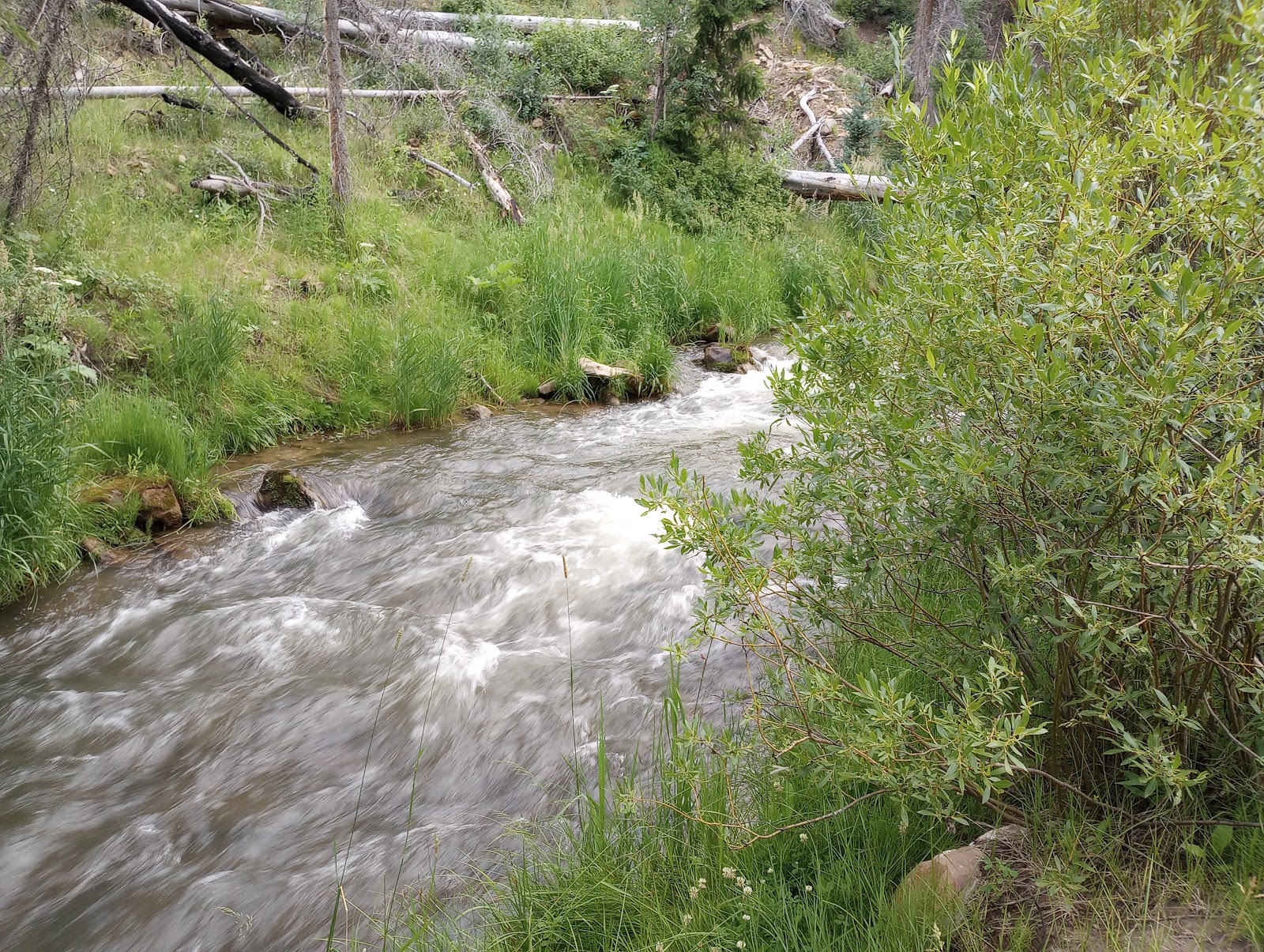 Old Folks Flat Campground