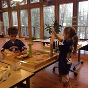 Lynches River County Park