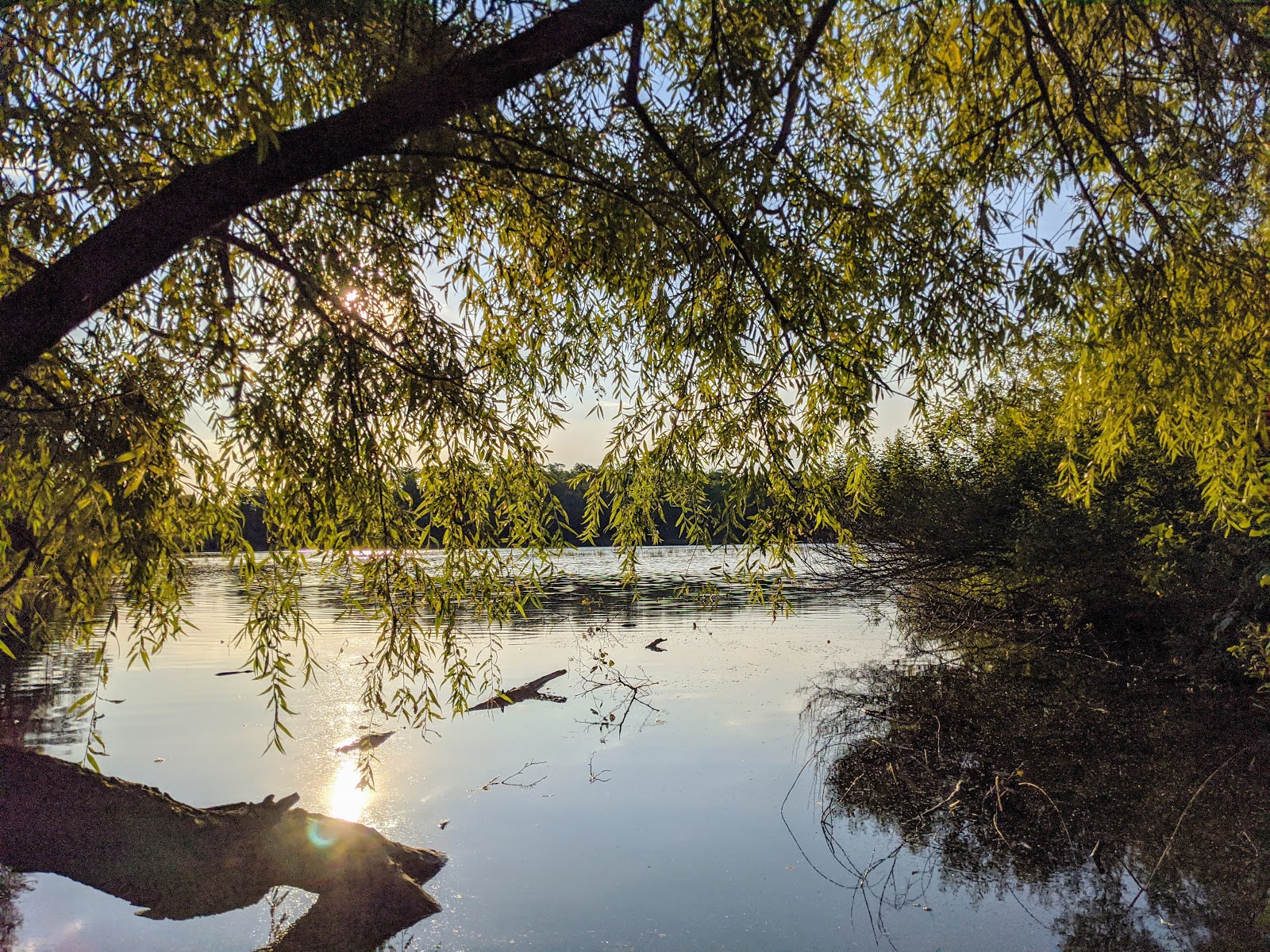 Plum Lake - Northern Highland-American Legion SF