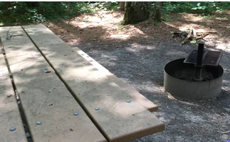 Moens Birch Haven Campground