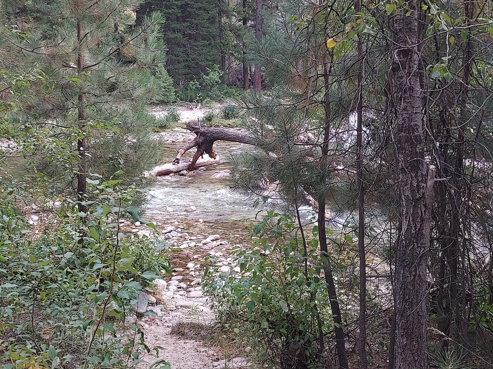 Queens River Campground