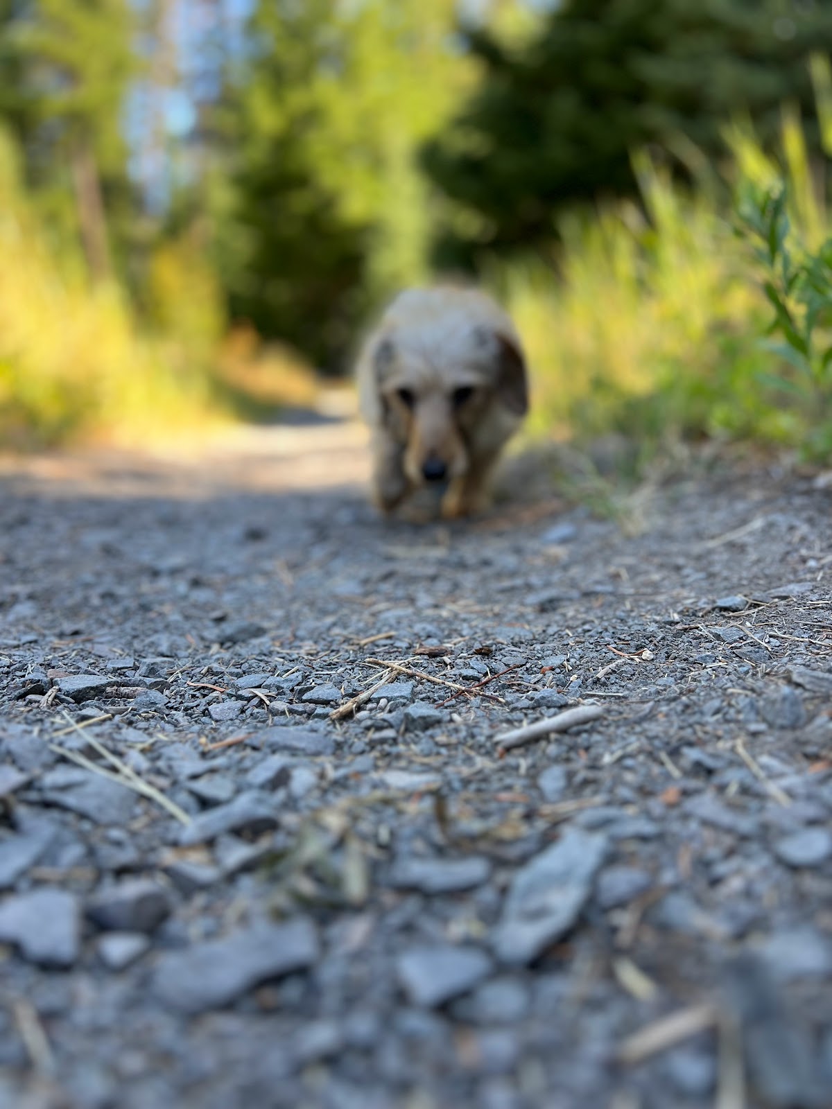Eightmile Crossing Campground