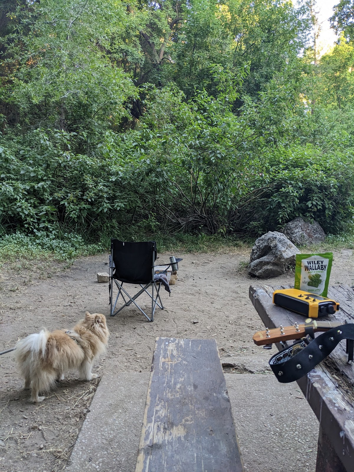 Box Elder Campground