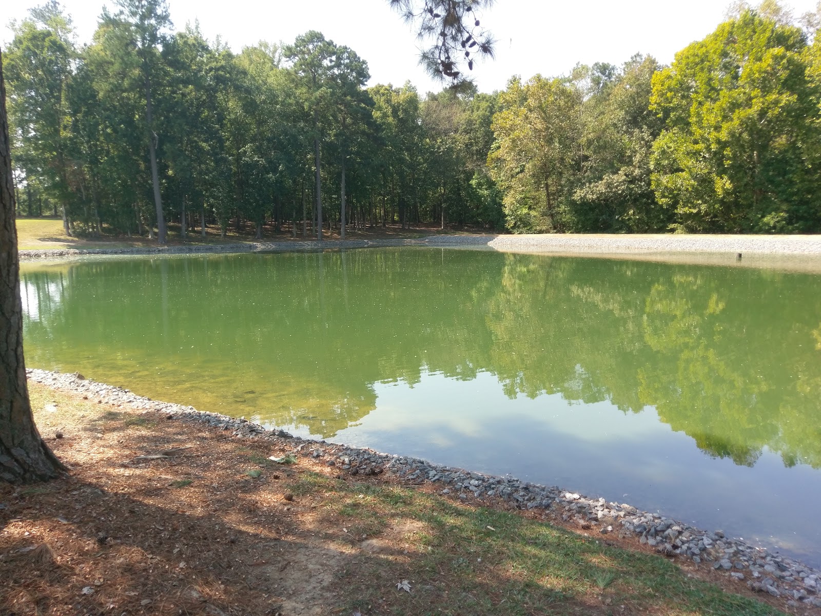 Amelia Family Campground