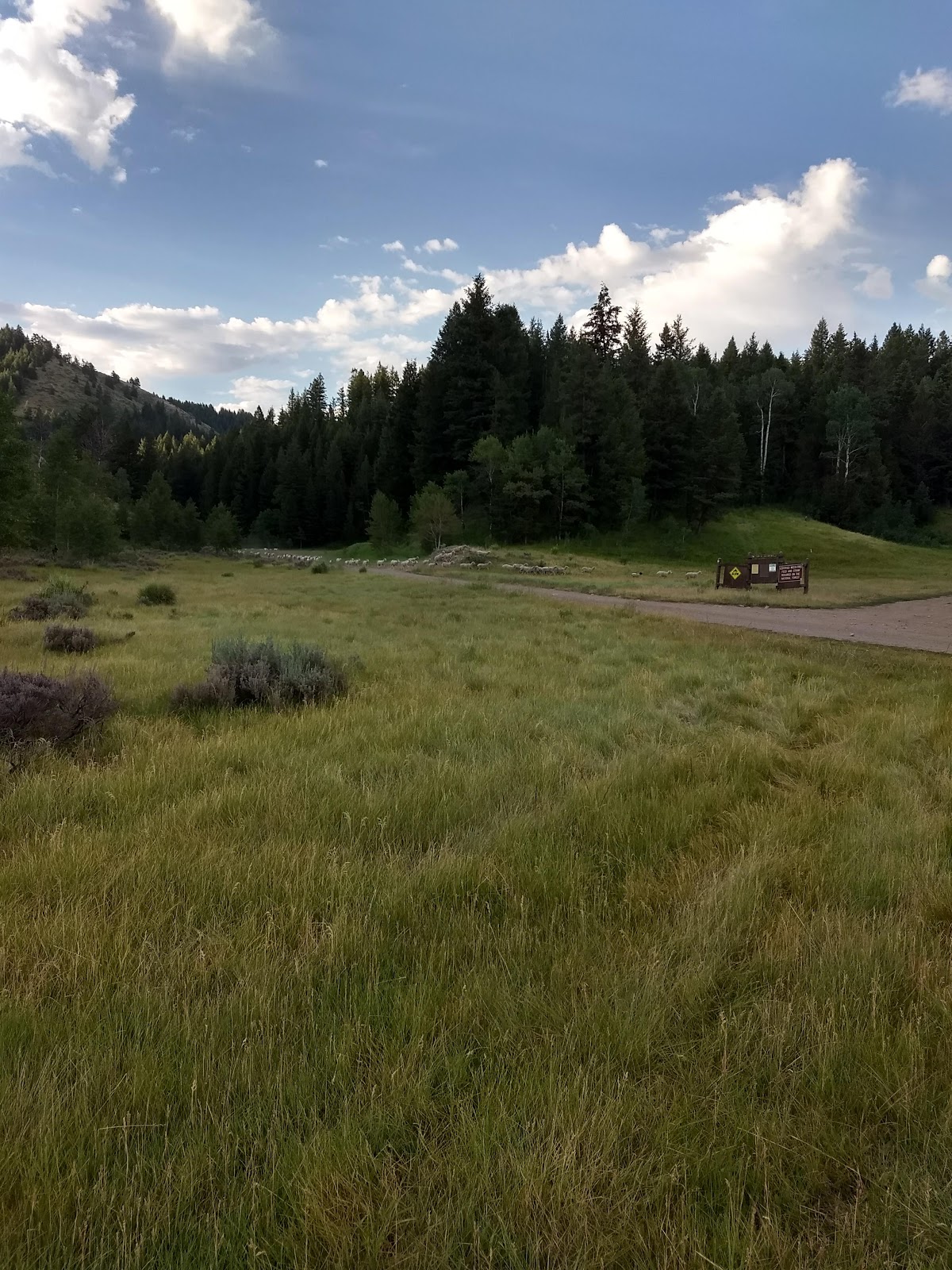 Mill Flat Campground