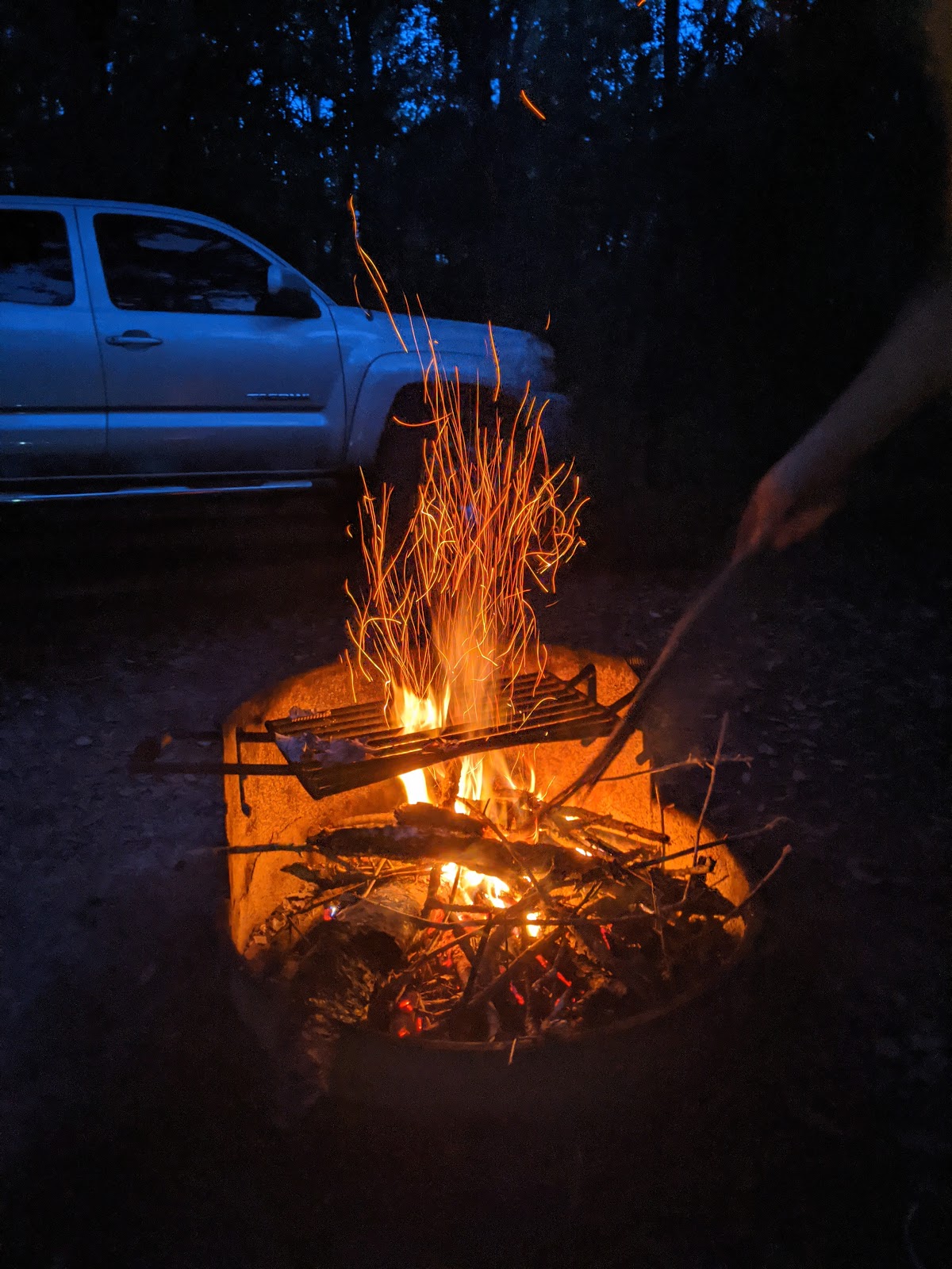 Jennings State Forest - Hammock Campground