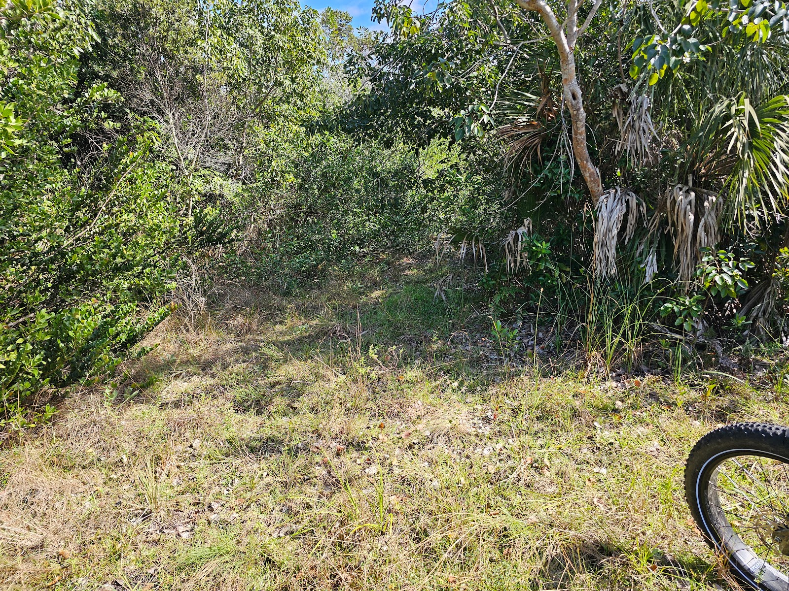 Backcountry Old Ingraham - Everglades National Park
