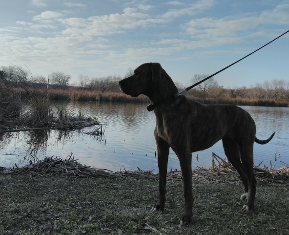 Wilderness Lakes RV Resort