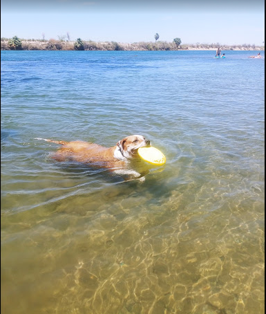 Arizona Oasis RV Resort