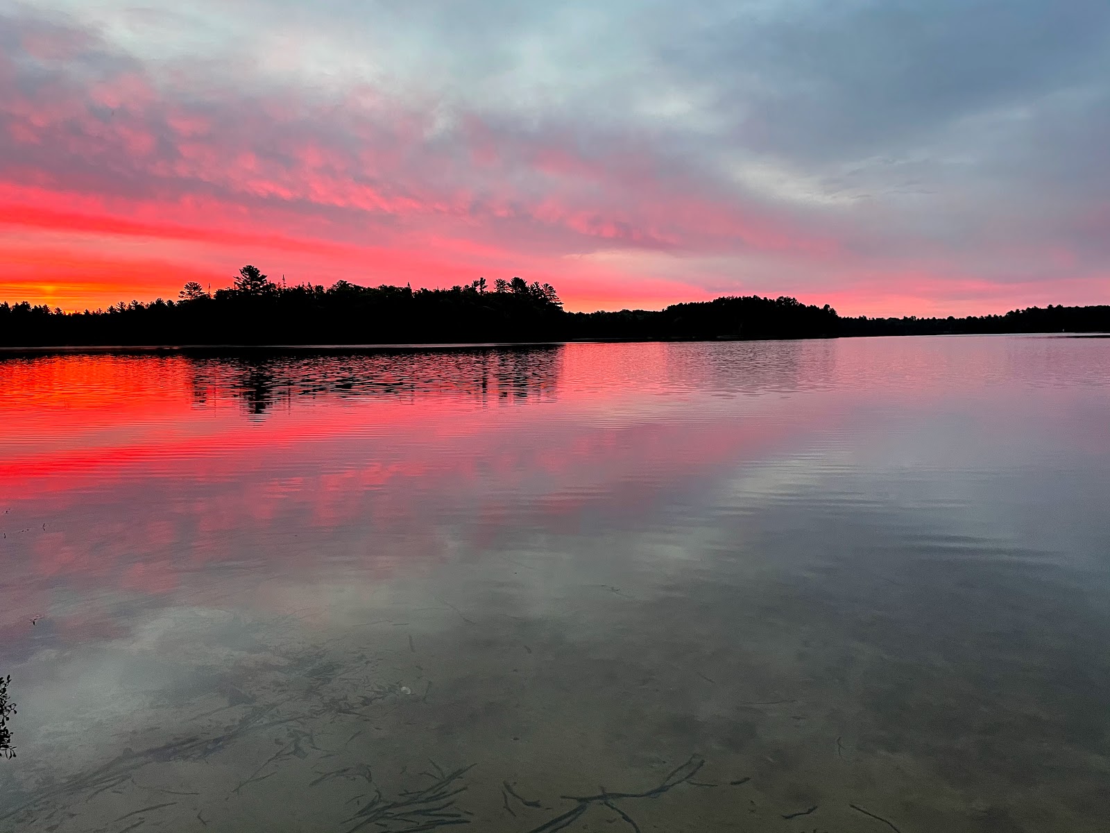 Ross Lake SF Campground