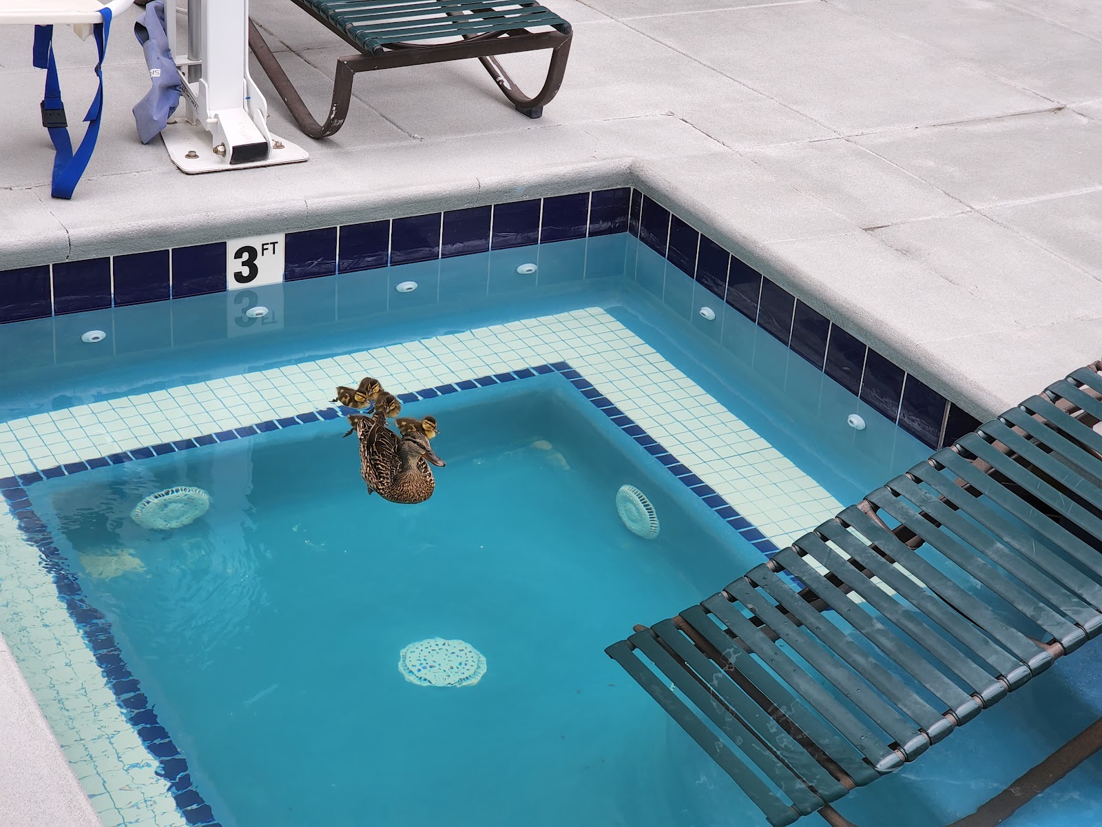 SpringHill Suites Boise ParkCenter