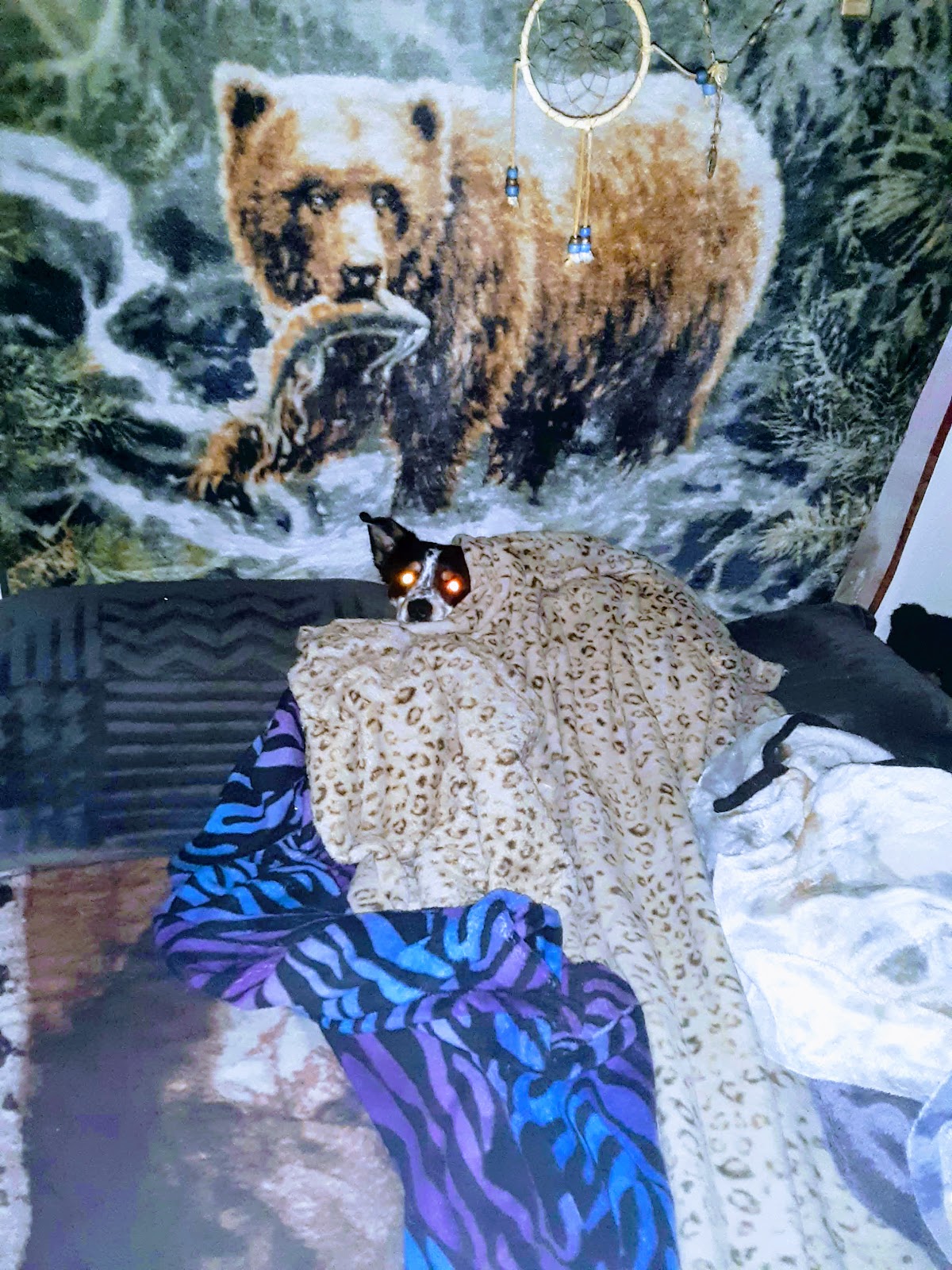 Cimarron West RV Park