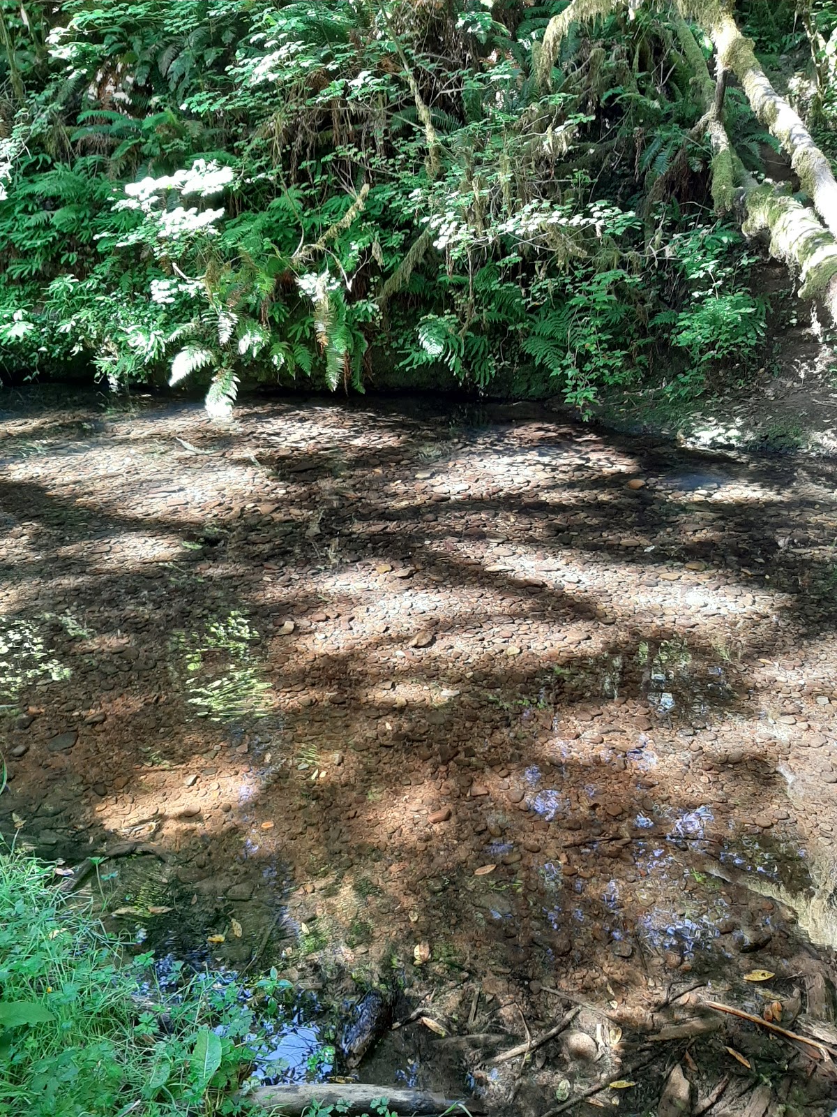 Park Creek Campground