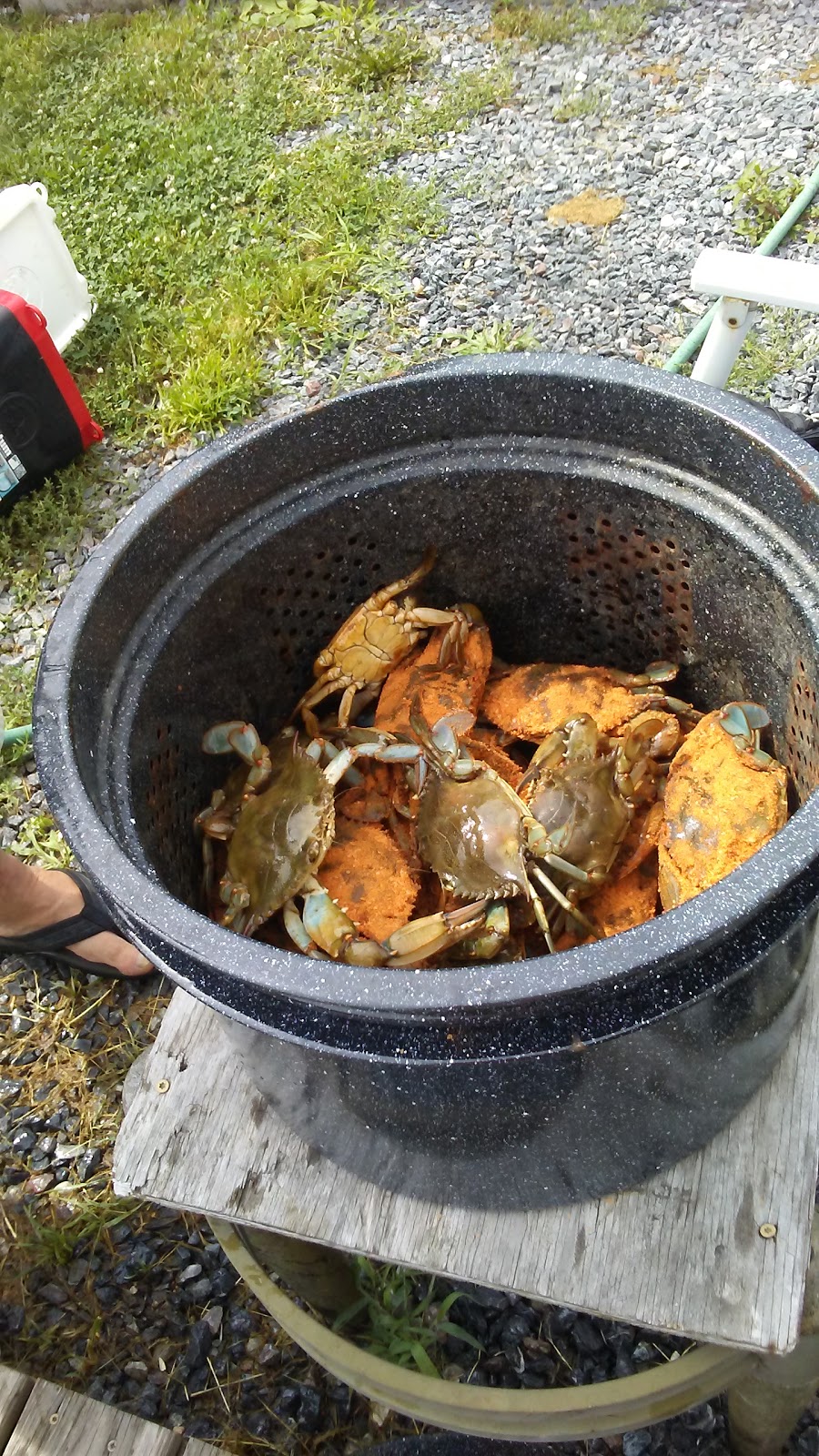 Madison Bay Campground and Marina