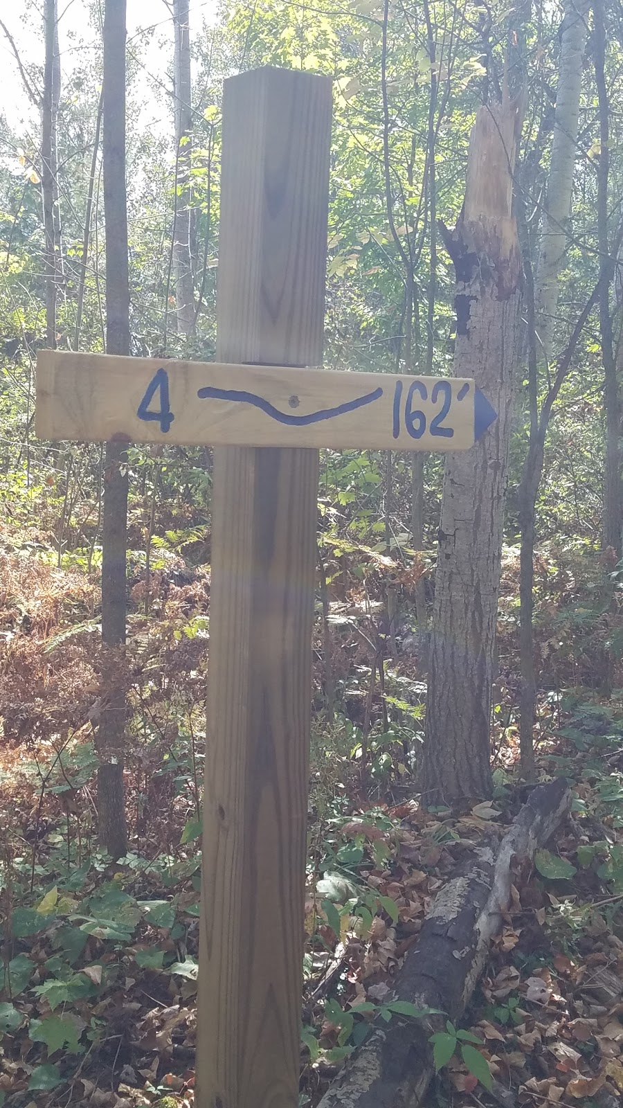 Maple Grove City Park