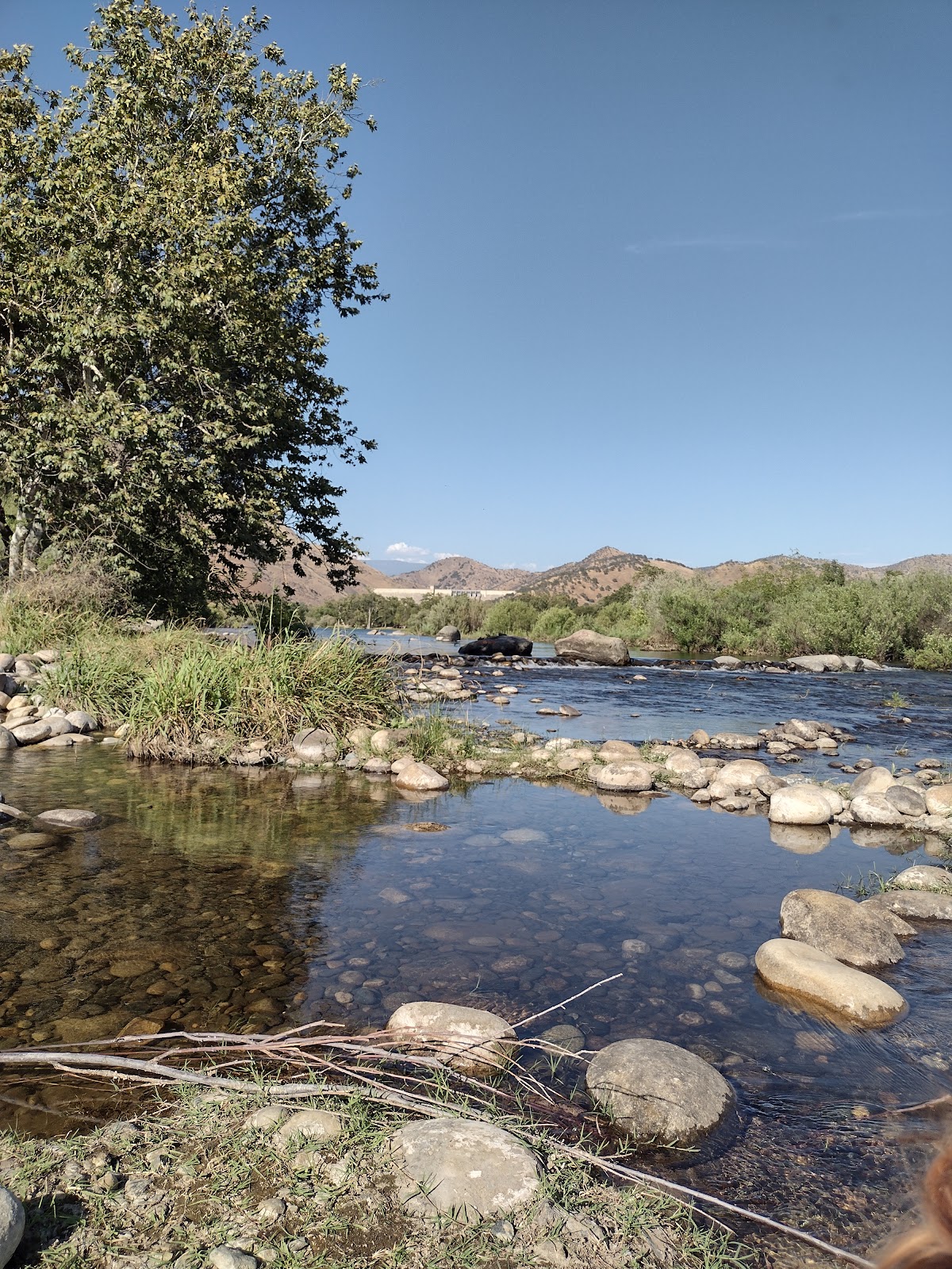 Choinumni Park Campground