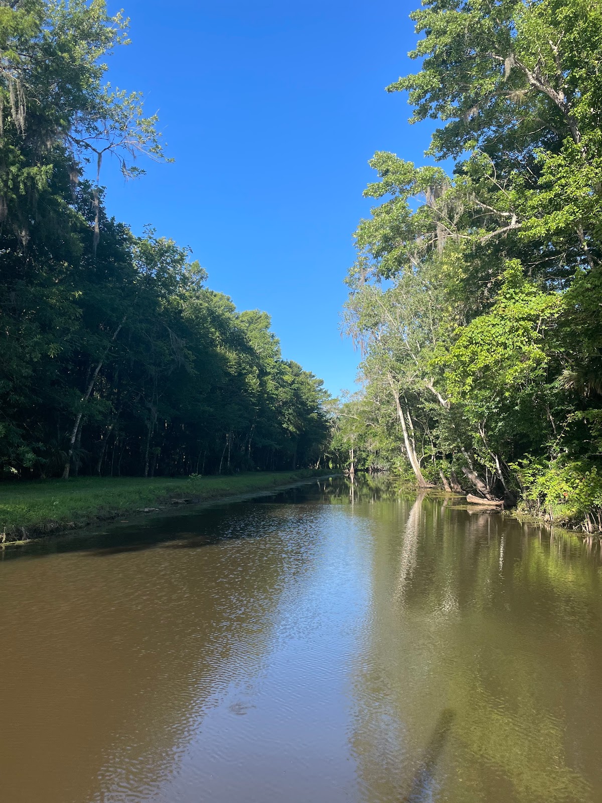 Thousand Palms RV Resort