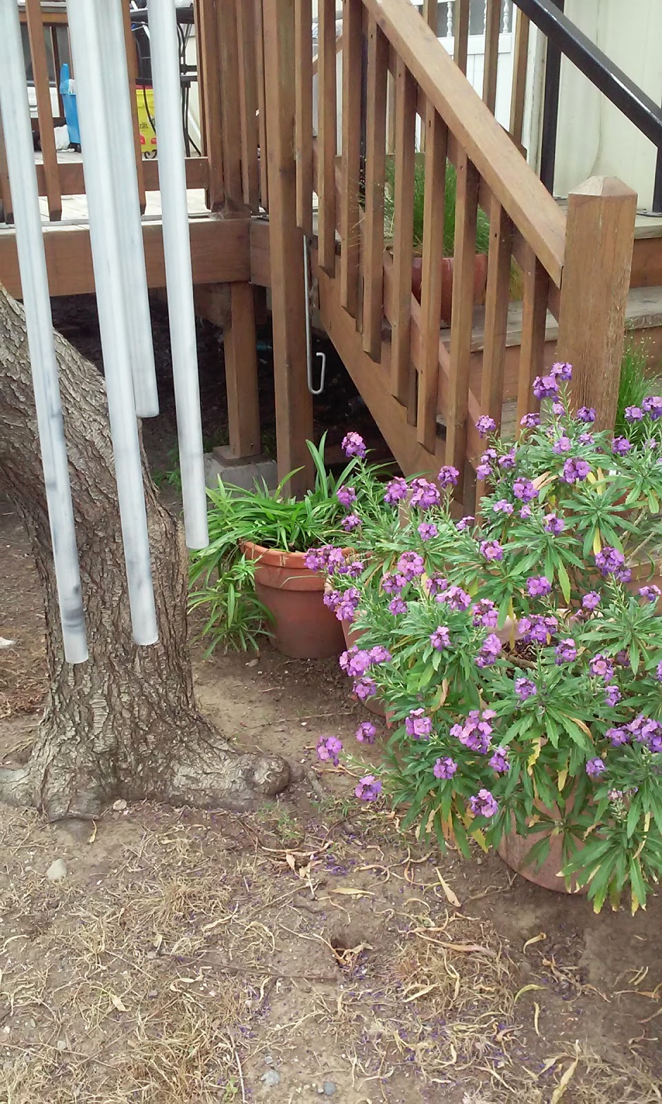 Almond Grove Mobile Home Park