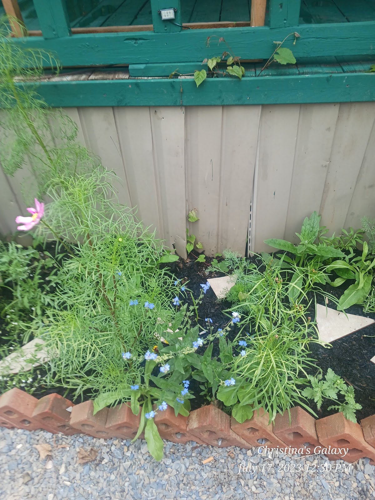 Horseshoe Campground