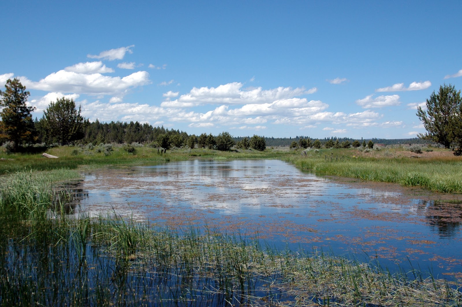 Janes Reservoir Campground