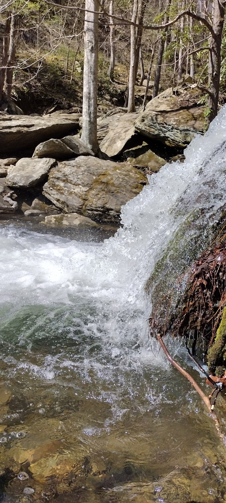 Parksville Lake Campground