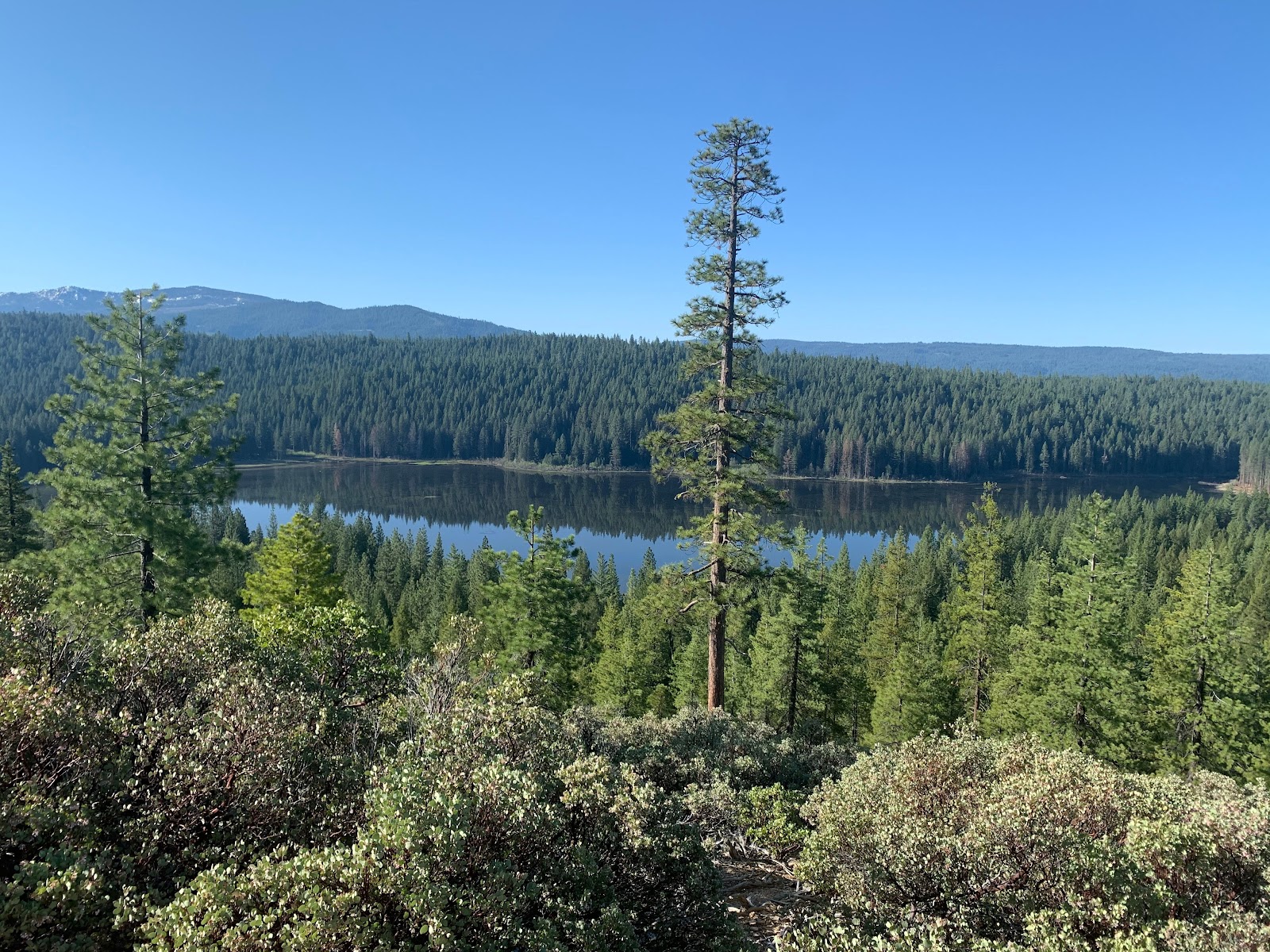 Snake Lake Campground