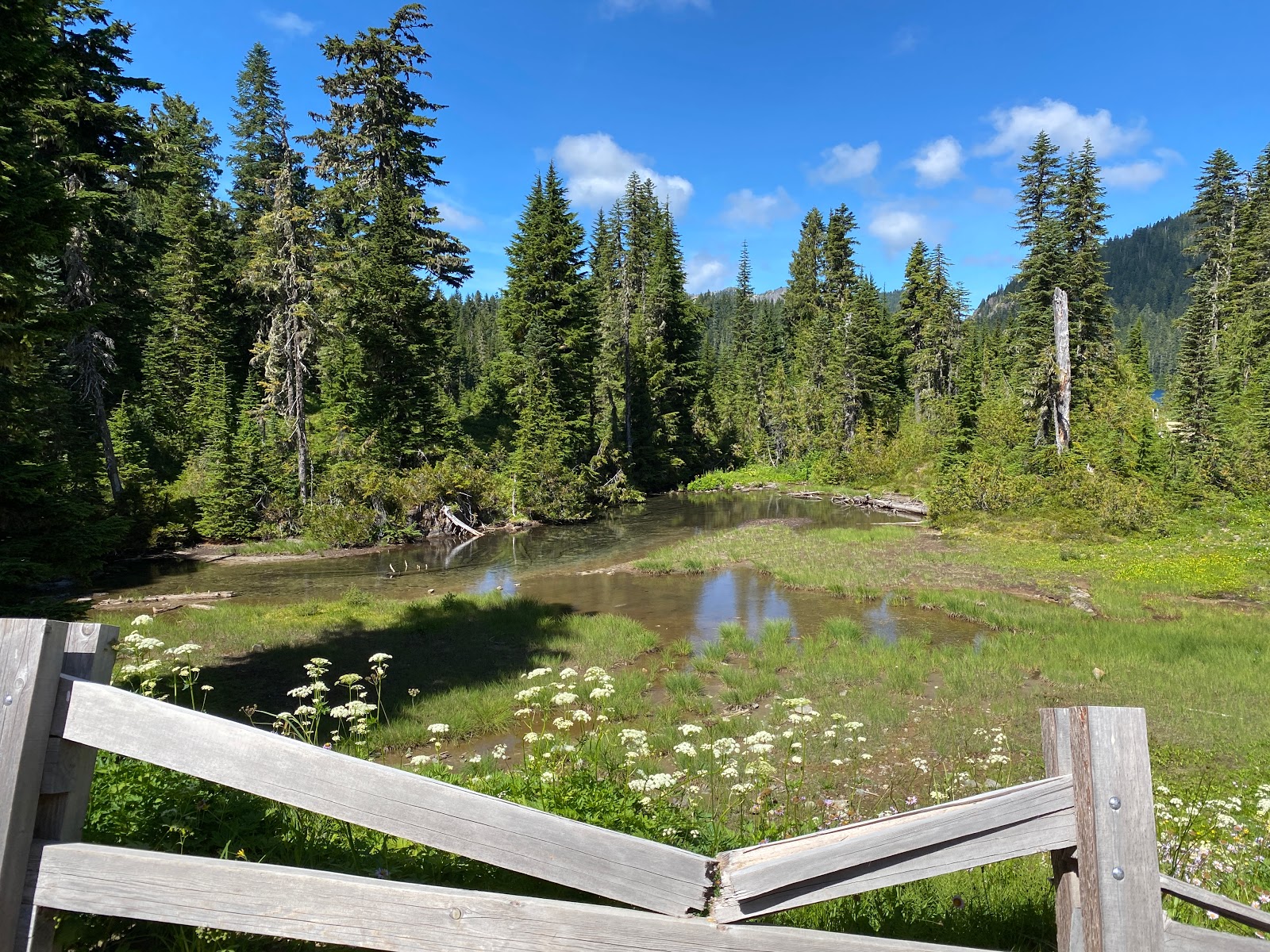 Mount Rainier National Park Campground