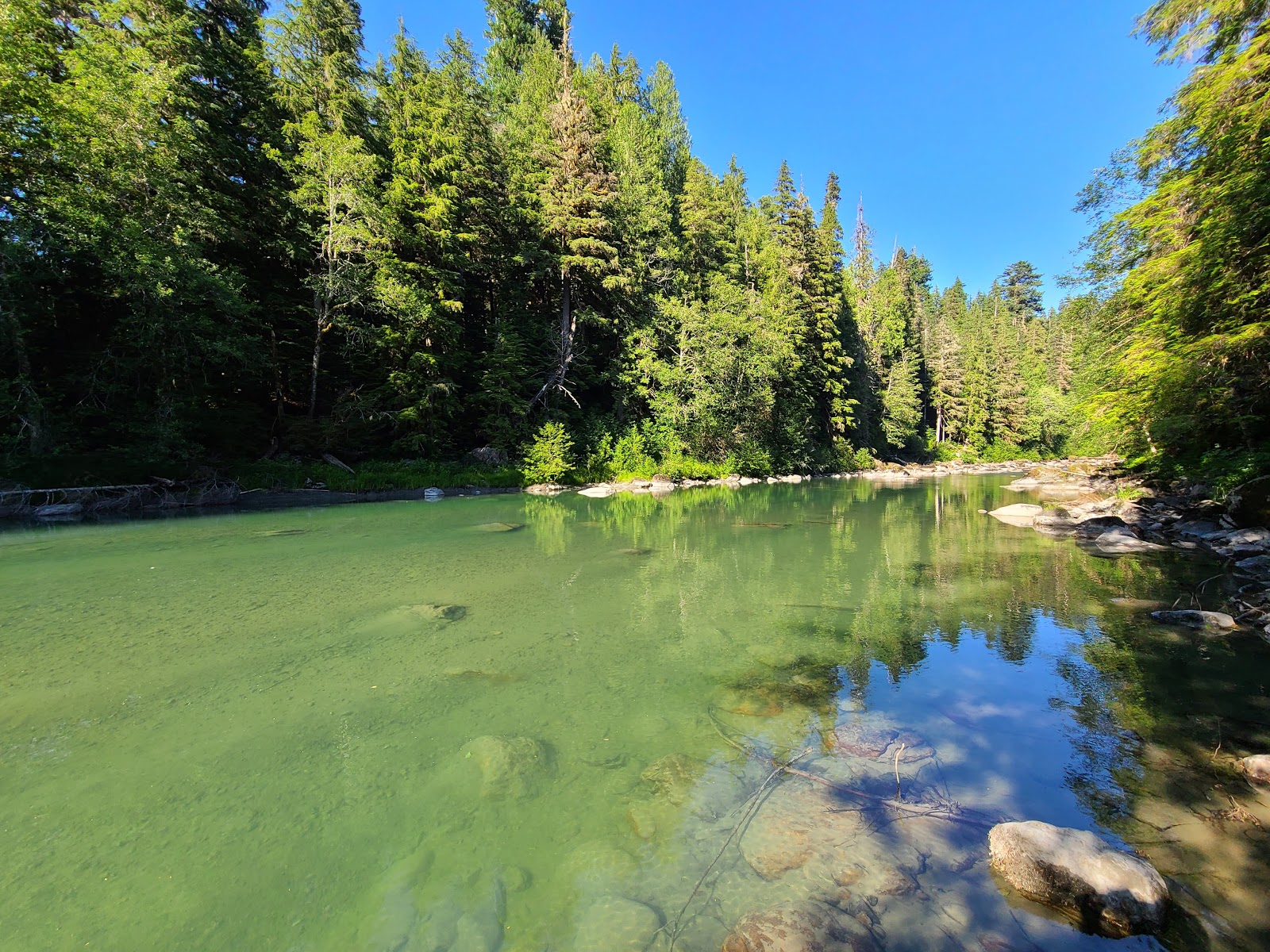 Wiley Creek Group Campground