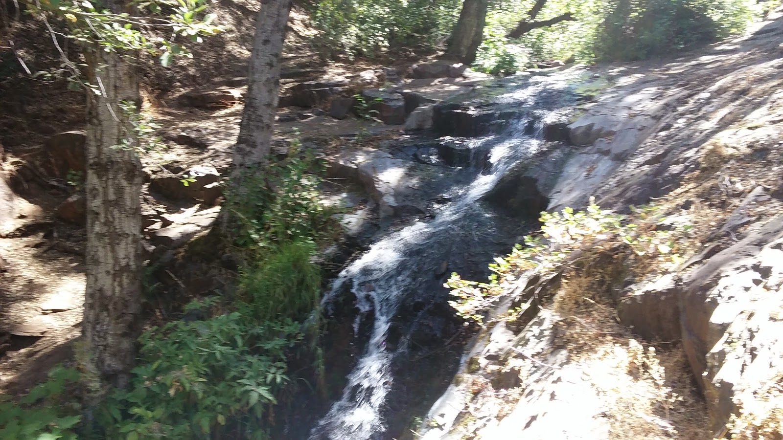 Alder Creek Campground