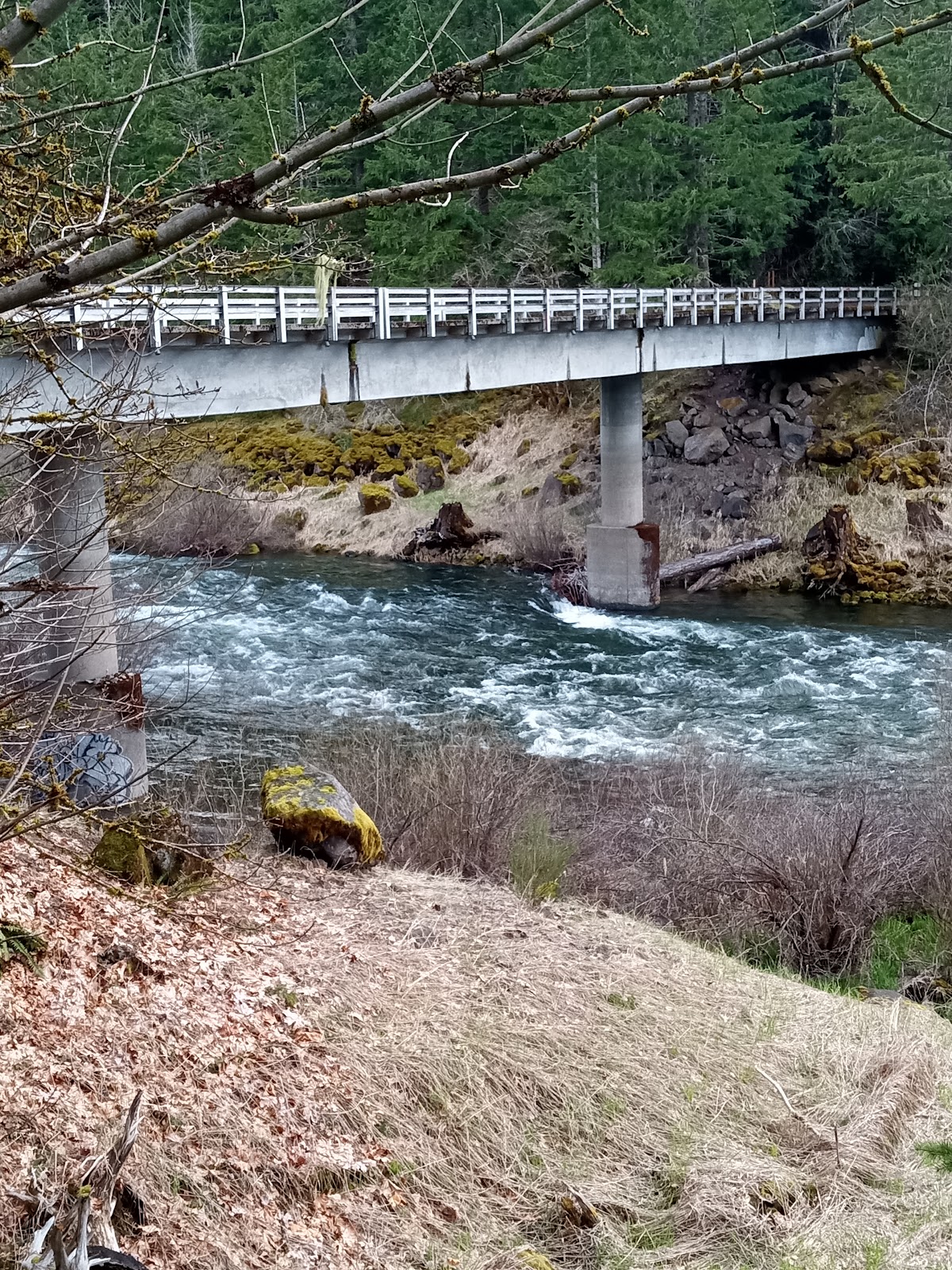 Cougar Crossing Campground