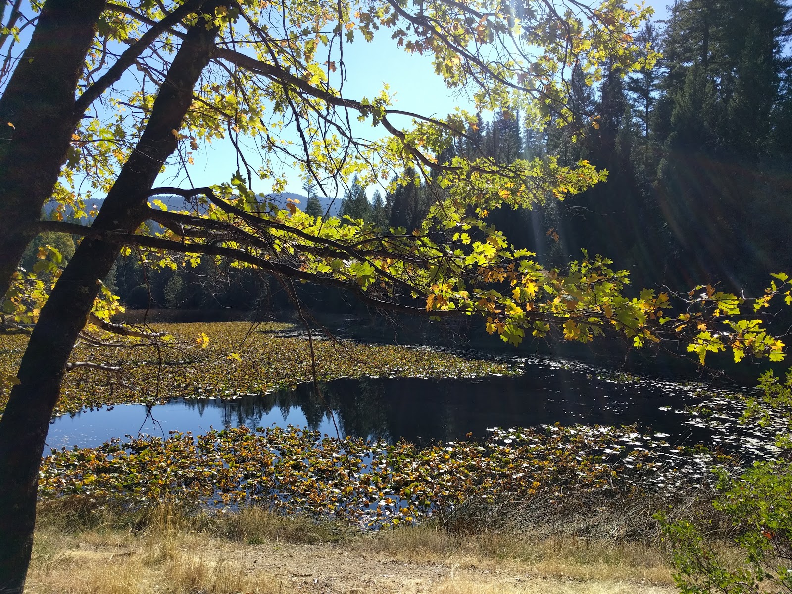 Hammerhorn Campground
