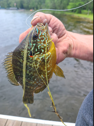 Greer lake Campground