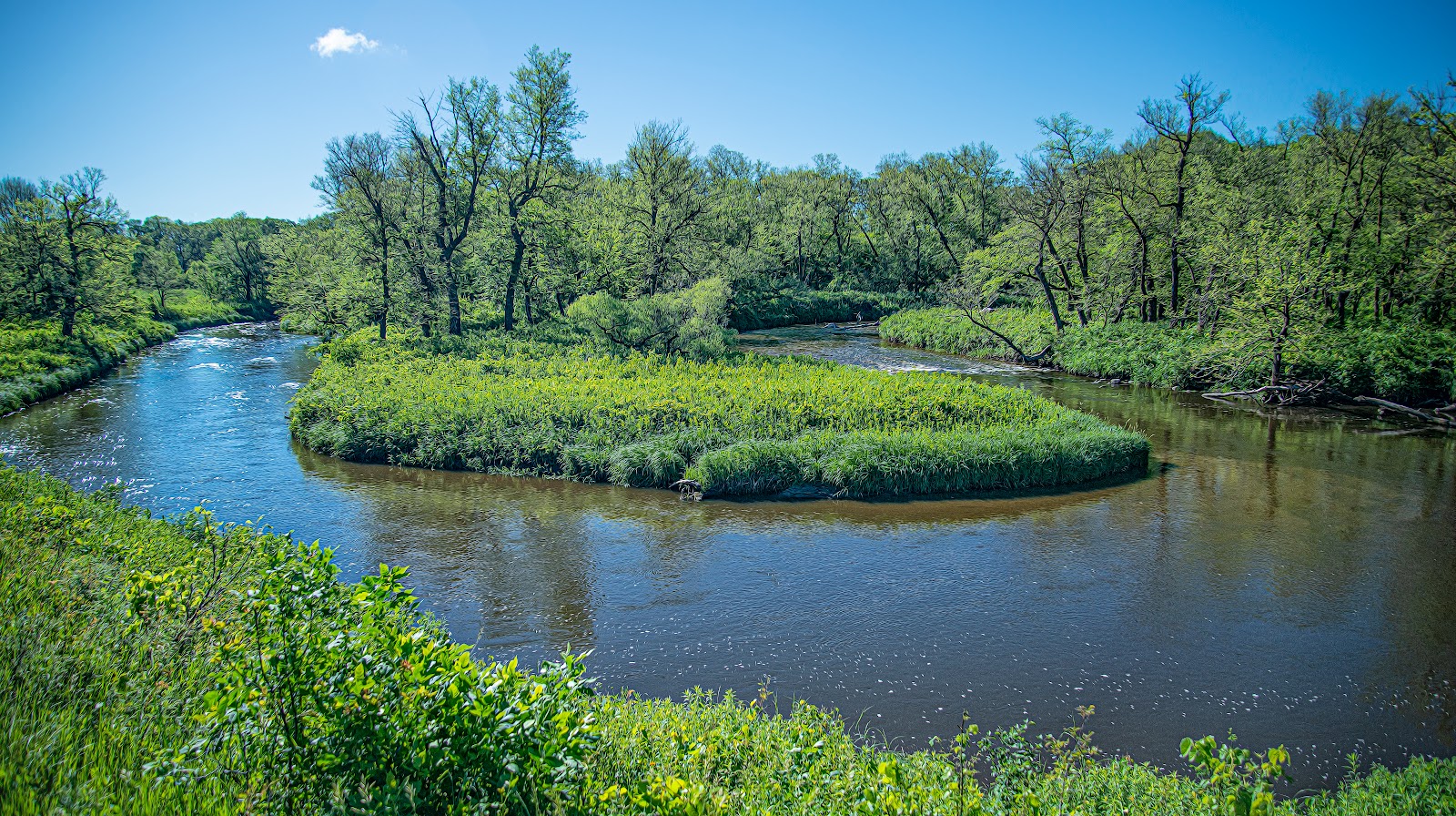 Buffalo River State Park