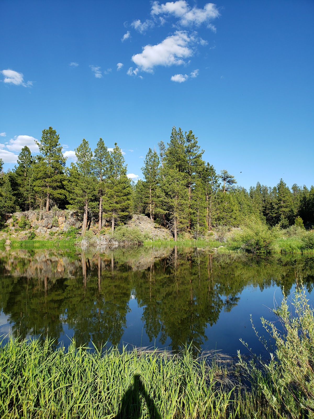 Yellowjacket Campground