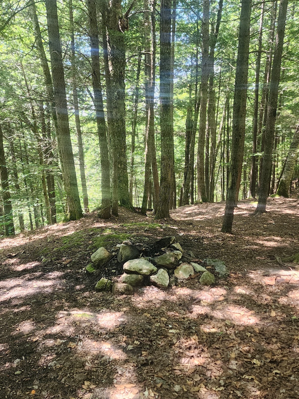 Tripoli Rd Camping Area